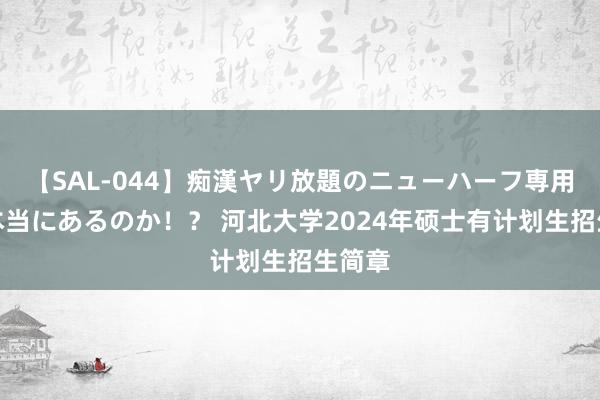 【SAL-044】痴漢ヤリ放題のニューハーフ専用車は本当にあるのか！？ 河北大学2024年硕士有计划生招生简章