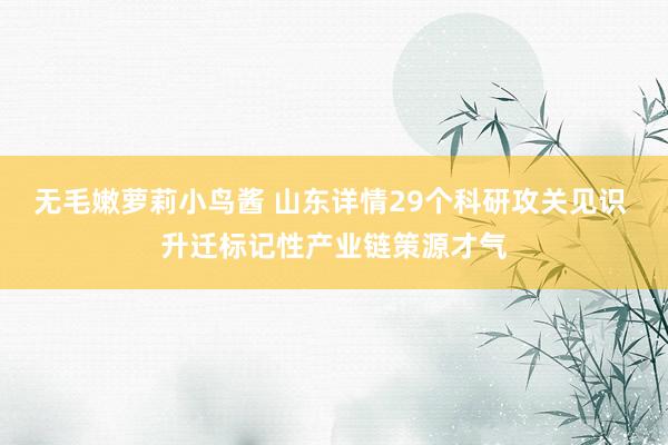 无毛嫩萝莉小鸟酱 山东详情29个科研攻关见识 升迁标记性产业链策源才气