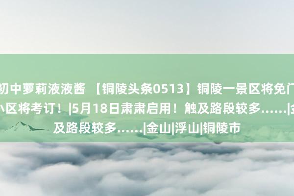 初中萝莉液液酱 【铜陵头条0513】铜陵一景区将免门票！|38个老旧小区将考订！|5月18日肃肃启用！触及路段较多......|金山|浮山|铜陵市