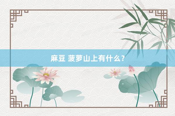 麻豆 菠萝山上有什么？