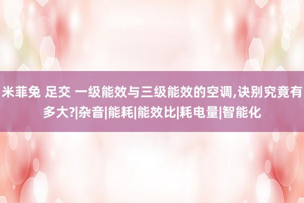米菲兔 足交 一级能效与三级能效的空调，诀别究竟有多大?|杂音|能耗|能效比|耗电量|智能化
