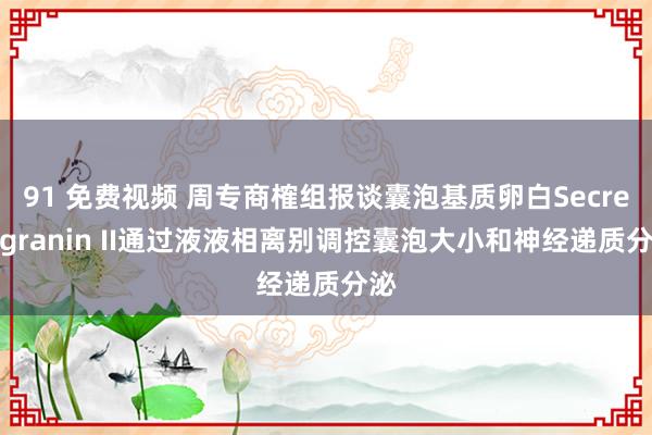 91 免费视频 周专商榷组报谈囊泡基质卵白Secretogranin II通过液液相离别调控囊泡大小和神经递质分泌