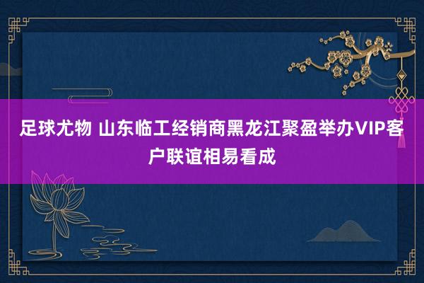 足球尤物 山东临工经销商黑龙江聚盈举办VIP客户联谊相易看成