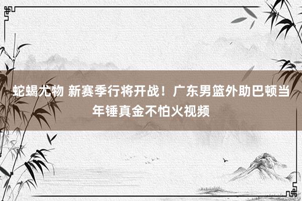蛇蝎尤物 新赛季行将开战!广东男篮外助巴顿当年锤真金不怕火视频