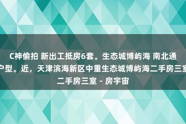 C神偷拍 新出工抵房6套。生态城博屿海 南北通透三居室户型。近,天津滨海新区中重生态城博屿海二手房三室 - 房宇宙
