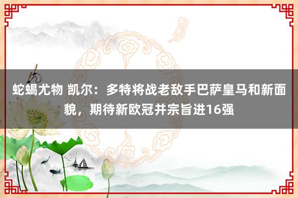 蛇蝎尤物 凯尔：多特将战老敌手巴萨皇马和新面貌，期待新欧冠并宗旨进16强