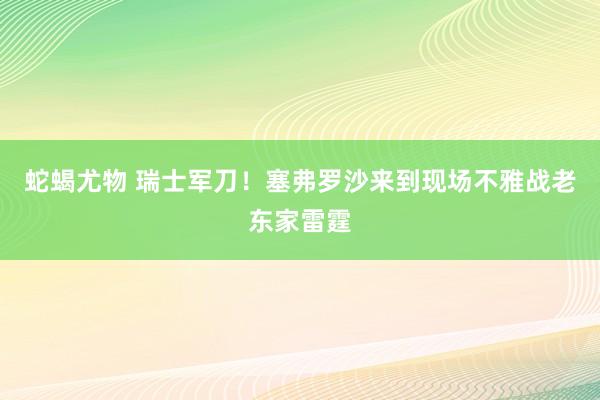 蛇蝎尤物 瑞士军刀！塞弗罗沙来到现场不雅战老东家雷霆