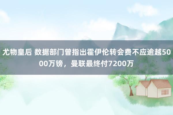 尤物皇后 数据部门曾指出霍伊伦转会费不应逾越5000万镑，曼联最终付7200万